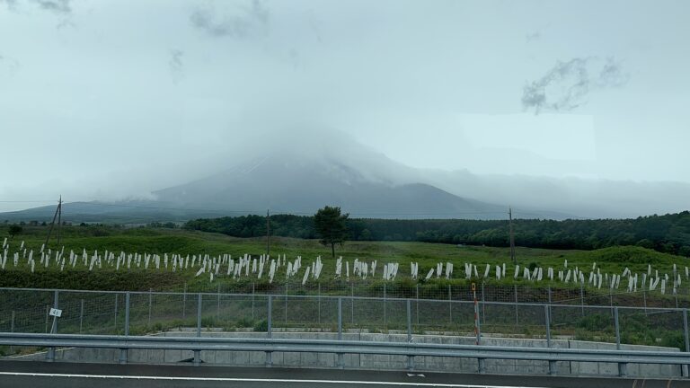 Good Morning, Teotihuacan